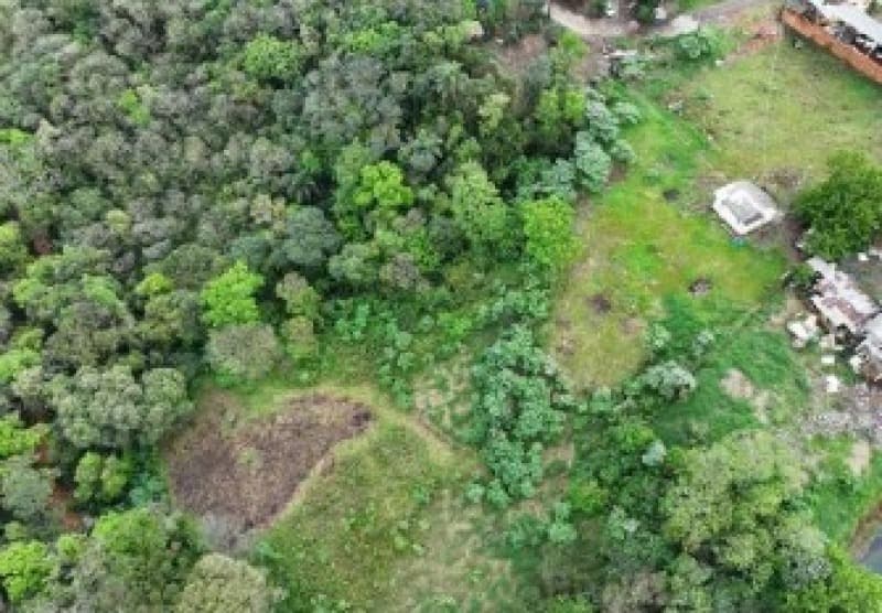 Foto 5 de 9: Terreno em leilão em Chapecó - SC — LOTE 005 [6.195] PARTE IDEAL DE LOTE RURAL DE 10.000,00M² EM CHAPECÓ/SC