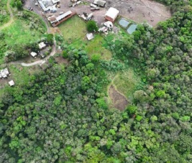 Foto 7 de 9: Terreno em leilão em Chapecó - SC — LOTE 005 [6.195] PARTE IDEAL DE LOTE RURAL DE 10.000,00M² EM CHAPECÓ/SC
