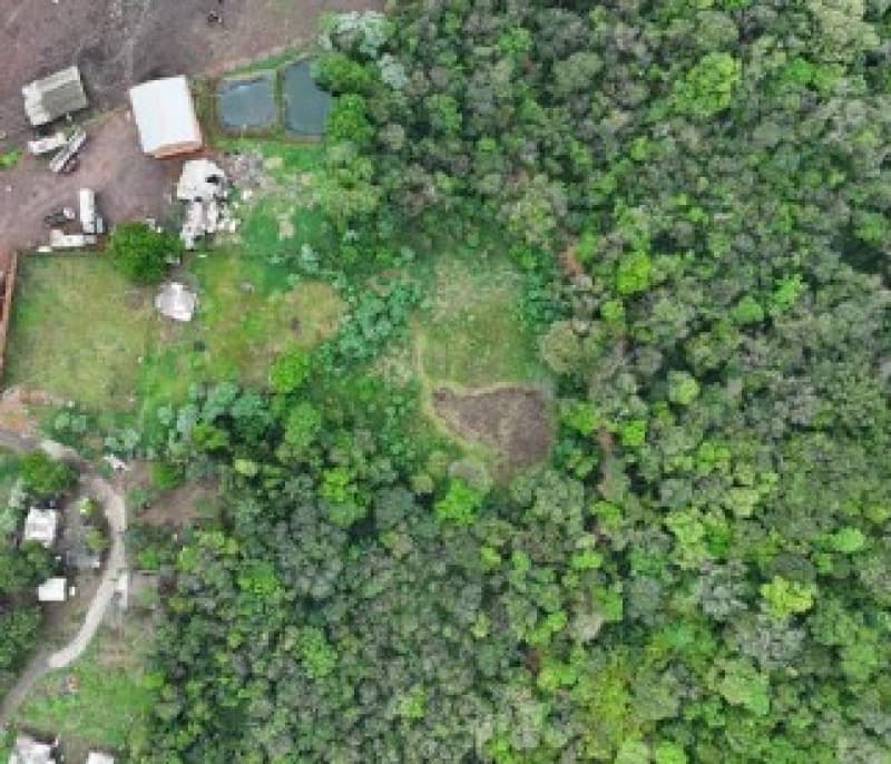Foto 8 de 9: Terreno em leilão em Chapecó - SC — LOTE 005 [6.195] PARTE IDEAL DE LOTE RURAL DE 10.000,00M² EM CHAPECÓ/SC