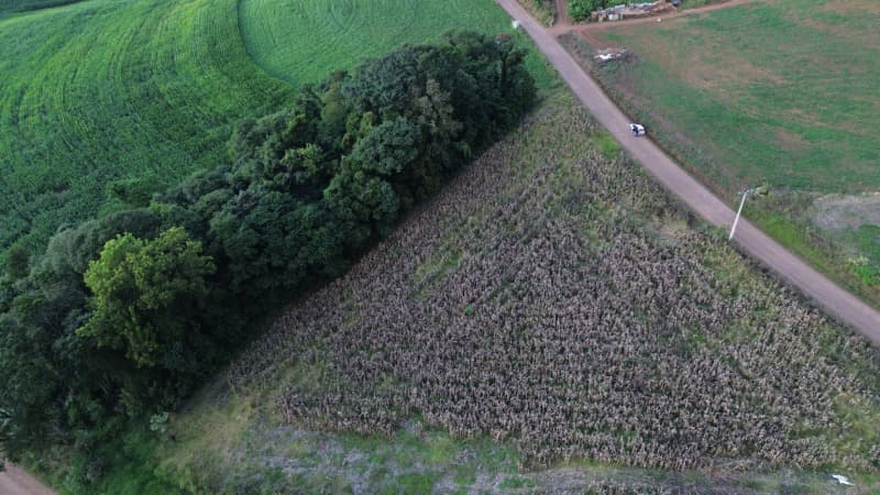 Foto 2 de 11: Terreno em leilão em Bom Jesus Do Oeste - SC — LOTE 006 [2.920] PARTE IDEAL DE LOTE RURAL DE 77.500,00M² EM BOM JESUS DO OESTE/SC