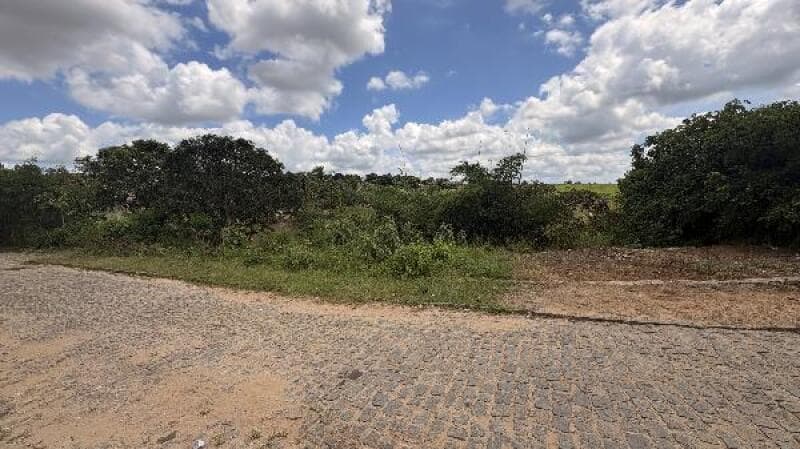 Terreno em leilão em Aliança - PE, bairro Desm Granja Santo — LOTE 218 [1555520660247] TERRENO 1.000M² - ALIANCA / PE