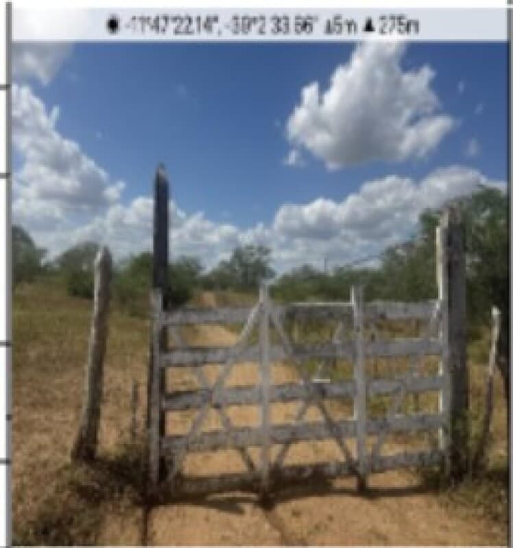 Terreno em leilão em Serrinha - BA — LOTE 030 [1555526320278] Terreno 3310,56m² FAZ ARIRI E TAMBURI - SERRINHA - BA