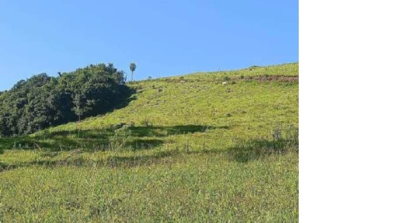 Foto 1 de 9: Area Rural em leilão em Saltinho - SC — LOTE 001 [9.856] LOTE RURAL DE 17,5 HECTARES EM SALTINHO/SC