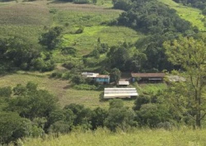 Foto 8 de 13: Terreno em leilão em Romelândia - SC — LOTE 002 [3.199] PARTE DE LOTE RURAL DE 124.500M² EM ROMELÂNDIA/SC