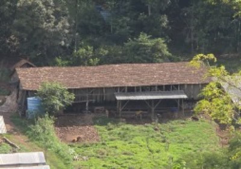 Foto 4 de 13: Terreno em leilão em Romelândia - SC — LOTE 002 [3.199] PARTE DE LOTE RURAL DE 124.500M² EM ROMELÂNDIA/SC