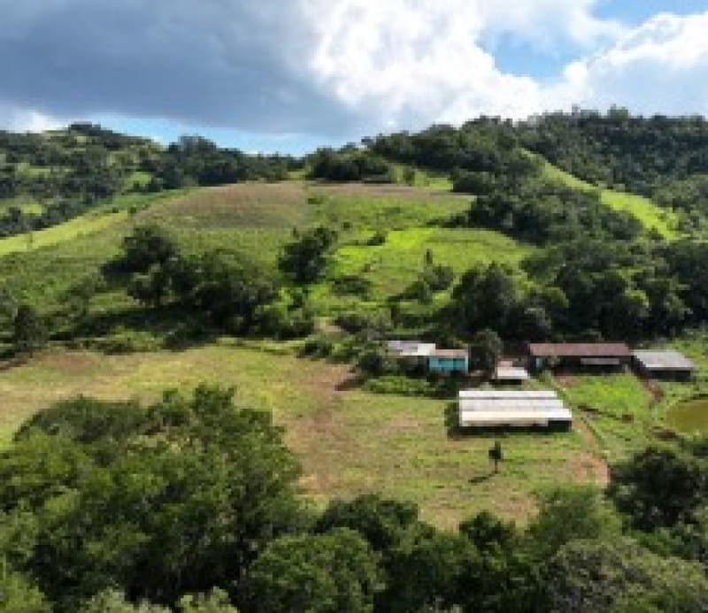 Foto 5 de 13: Terreno em leilão em Romelândia - SC — LOTE 002 [3.199] PARTE DE LOTE RURAL DE 124.500M² EM ROMELÂNDIA/SC