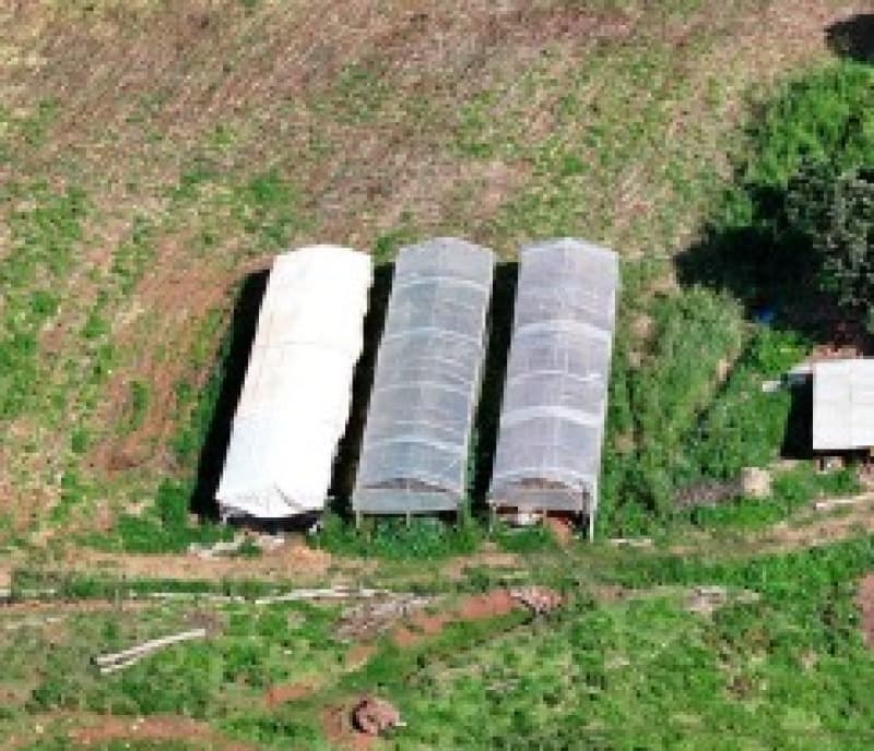 Foto 6 de 13: Terreno em leilão em Romelândia - SC — LOTE 002 [3.199] PARTE DE LOTE RURAL DE 124.500M² EM ROMELÂNDIA/SC