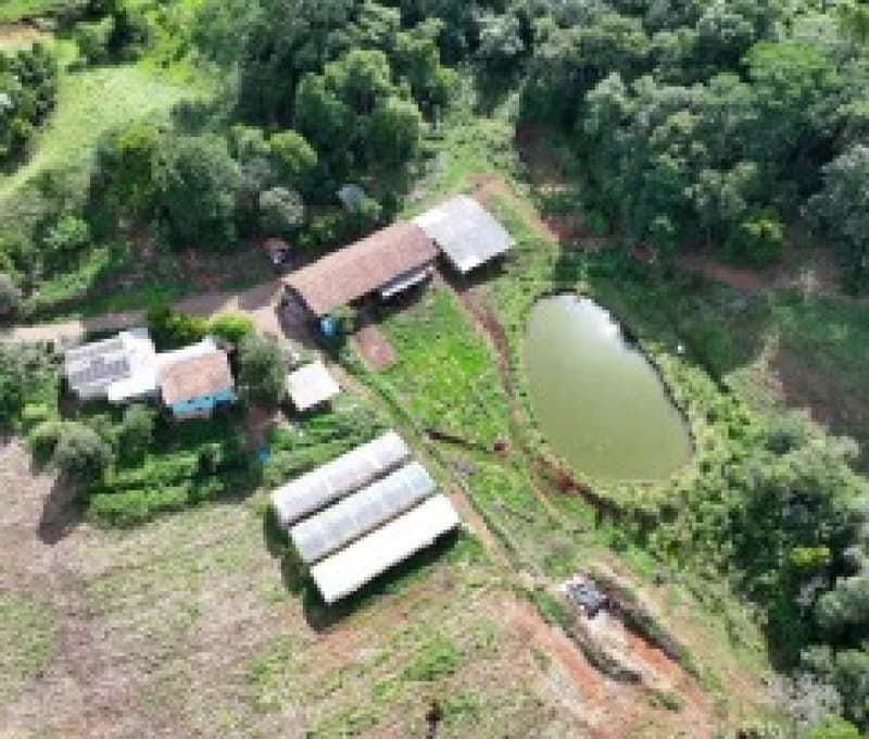 Foto 9 de 13: Terreno em leilão em Romelândia - SC — LOTE 002 [3.199] PARTE DE LOTE RURAL DE 124.500M² EM ROMELÂNDIA/SC