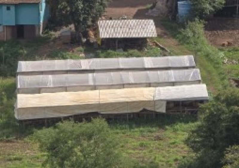 Foto 10 de 13: Terreno em leilão em Romelândia - SC — LOTE 002 [3.199] PARTE DE LOTE RURAL DE 124.500M² EM ROMELÂNDIA/SC