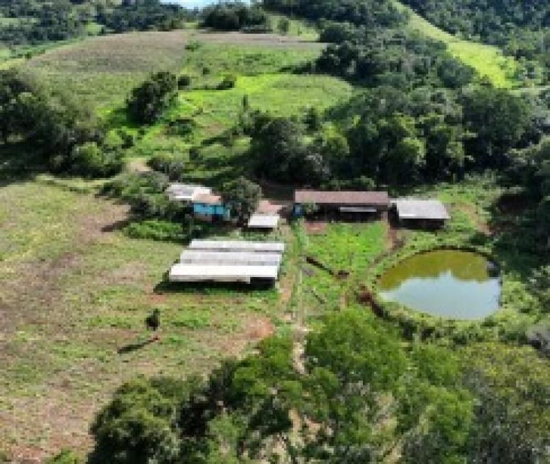 Foto 13 de 13: Terreno em leilão em Romelândia - SC — LOTE 002 [3.199] PARTE DE LOTE RURAL DE 124.500M² EM ROMELÂNDIA/SC