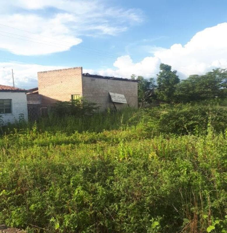Foto 3 de 8: Terreno em leilão em Jaicós - PI — LOTE 001 UM TERRENO MEDINDO 40.066,52m² EM JAICOS\PI