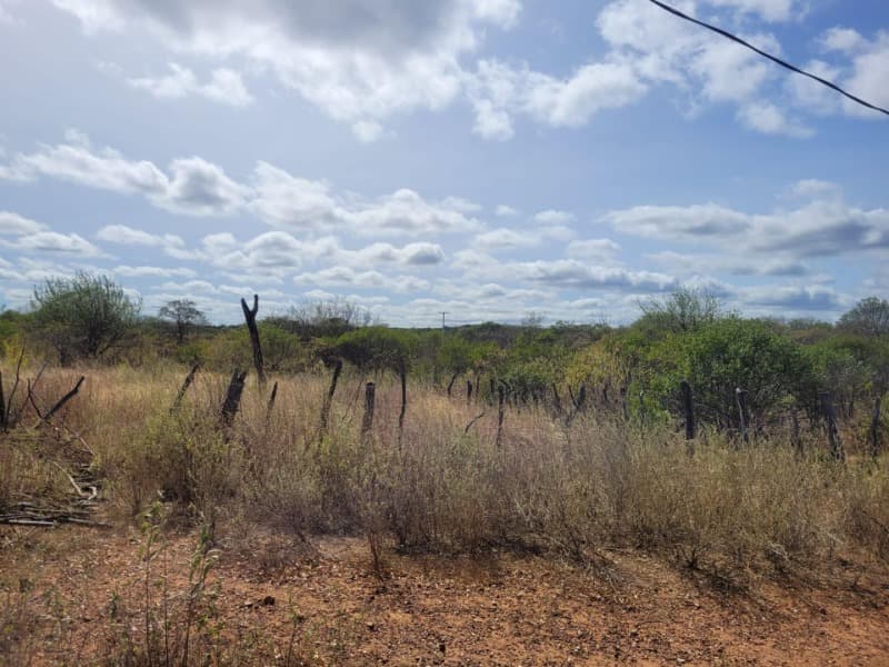 Foto 8 de 10: Area Rural em leilão em Massapê Do Piauí - PI — LOTE 001-1 UMA ÁREA DE TERRA, MEDINDO 31.00.00ha