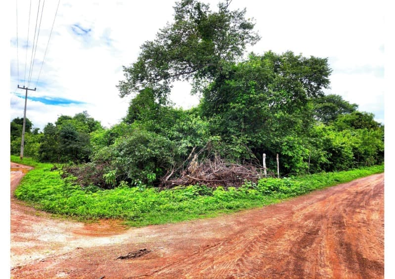 Foto 7 de 12: Terreno em leilão em Nossa Senhora De Nazaré - PI — LOTE 001 TERRENO COM 7.550M2