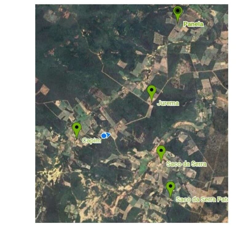 Foto 5 de 5: Area Rural em leilão em Jaicós - PI — LOTE 001 UMA GLEBA DE TERRA COM ÁREA DE 08,00,00 (OITO HECTARES) SITUADA NO LUGAR DENOMINADO "JUREMA