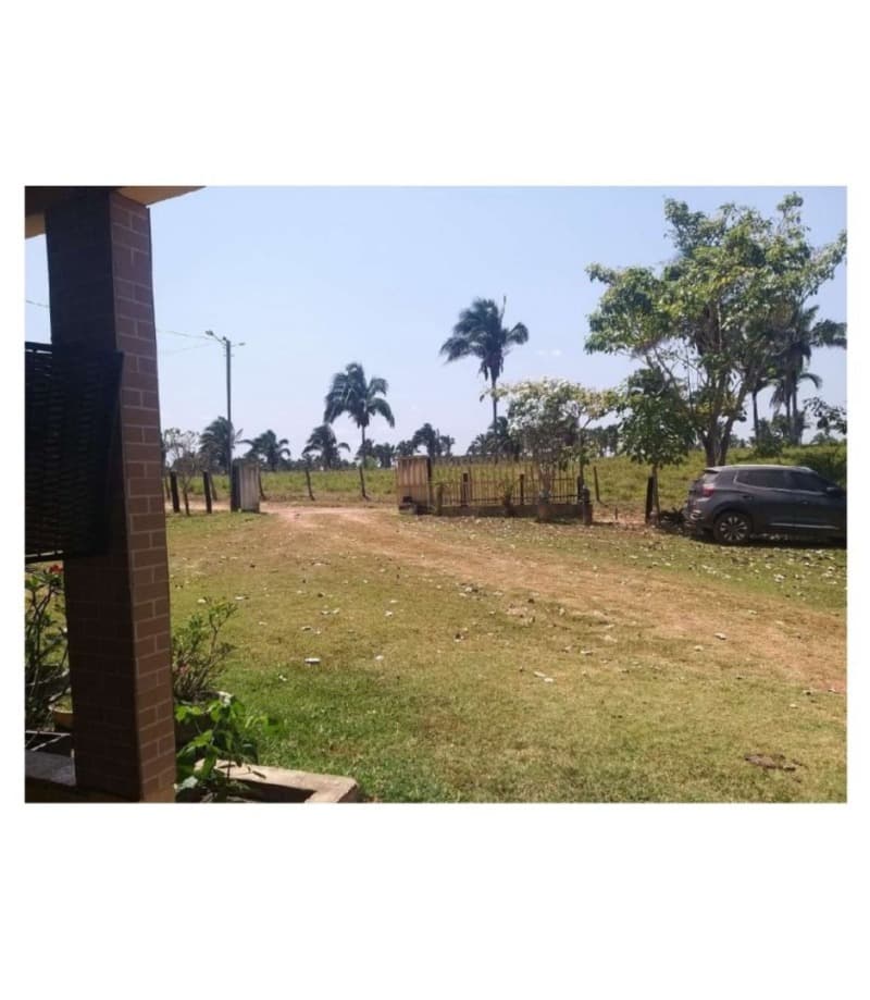 Foto 3 de 10: Area Rural em leilão em Olho D'água Das Cunhãs - MA — LOTE 001 IMOVEL COM ARERA DE 41 HECTARES - DENOMINADA FAZENDA DOIS IRMÃO