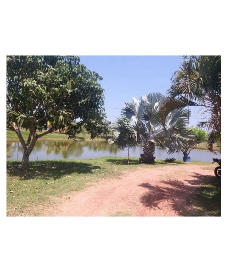 Foto 6 de 10: Area Rural em leilão em Olho D'água Das Cunhãs - MA — LOTE 001 IMOVEL COM ARERA DE 41 HECTARES - DENOMINADA FAZENDA DOIS IRMÃO