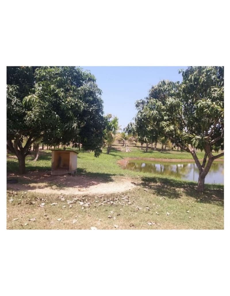 Foto 7 de 10: Area Rural em leilão em Olho D'água Das Cunhãs - MA — LOTE 001 IMOVEL COM ARERA DE 41 HECTARES - DENOMINADA FAZENDA DOIS IRMÃO