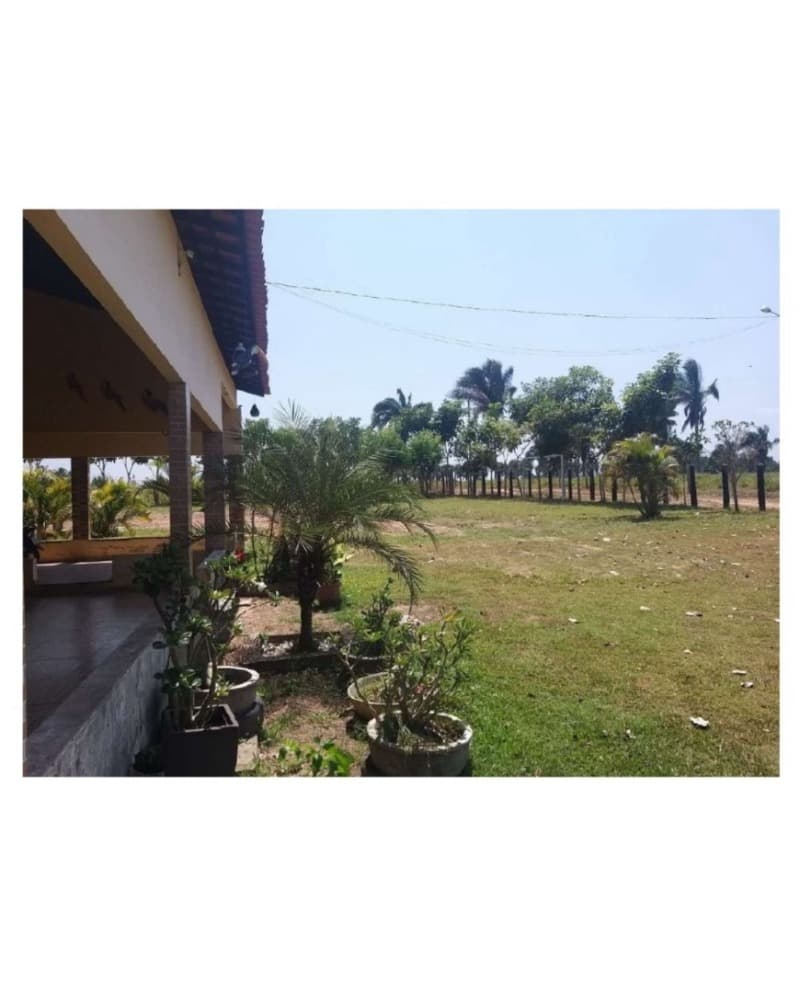 Foto 9 de 10: Area Rural em leilão em Olho D'água Das Cunhãs - MA — LOTE 001 IMOVEL COM ARERA DE 41 HECTARES - DENOMINADA FAZENDA DOIS IRMÃO
