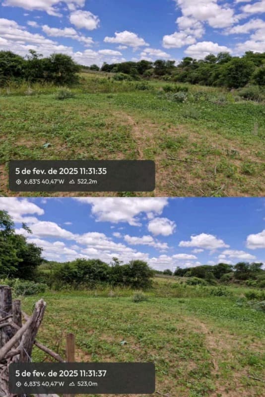 Foto 9 de 13: Area Rural em leilão em Pio Ix - PI — LOTE 001 54HA DE TERRAS