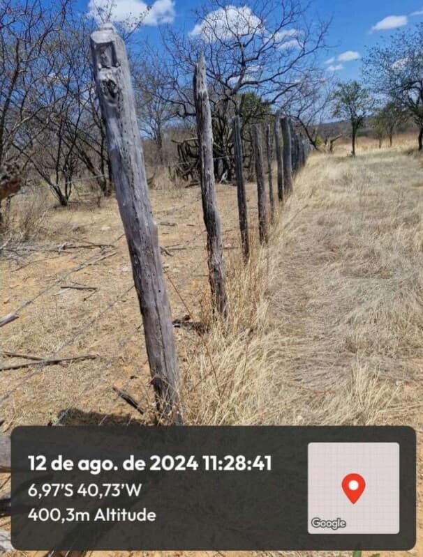 Foto 11 de 13: Area Rural em leilão em Pio Ix - PI — LOTE 001 54HA DE TERRAS