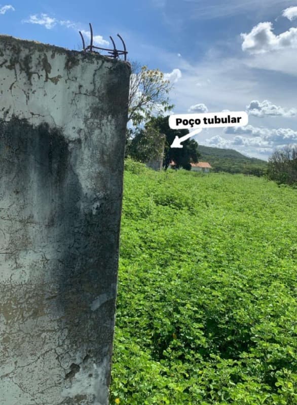 Foto 5 de 6: Area Rural em leilão em Inhuma - PI — LOTE 001 66,66,66HA DE TERRAS EM INHUMA