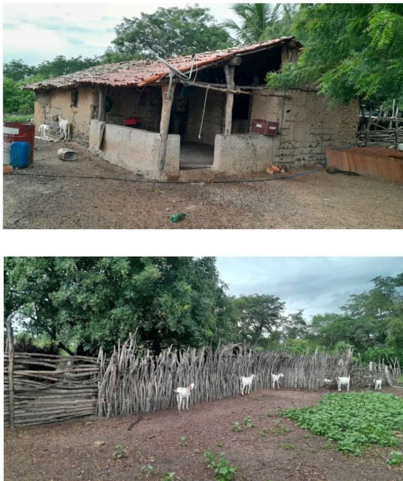 Foto 2 de 5: Area Rural em leilão em São Miguel Do Tapuio - PI — LOTE 001 2991 HA DE TERRAS EM SÃO MIGUEL DO TAPUIO