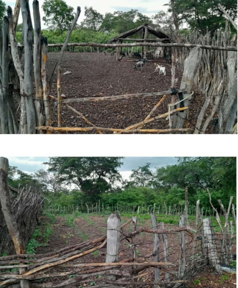 Foto 3 de 5: Area Rural em leilão em São Miguel Do Tapuio - PI — LOTE 001 2991 HA DE TERRAS EM SÃO MIGUEL DO TAPUIO