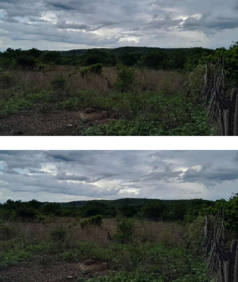 Foto 4 de 5: Area Rural em leilão em São Miguel Do Tapuio - PI — LOTE 001 2991 HA DE TERRAS EM SÃO MIGUEL DO TAPUIO