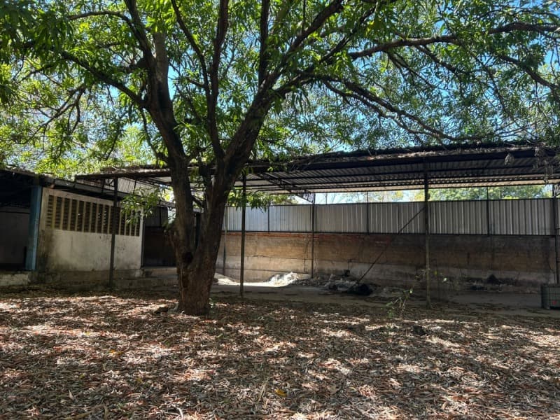 Foto 26 de 37: Terreno em leilão em Teresina - PI, bairro Distrito Industrial — LOTE 001 IMÓVEL EM TERRENO COM 12 MIL M2