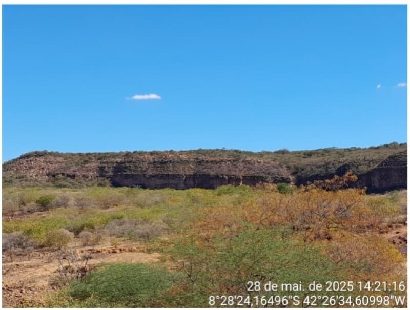Foto 1 de 2: Area Rural em leilão em João Costa - PI — LOTE 001 55HA DE TERRAS