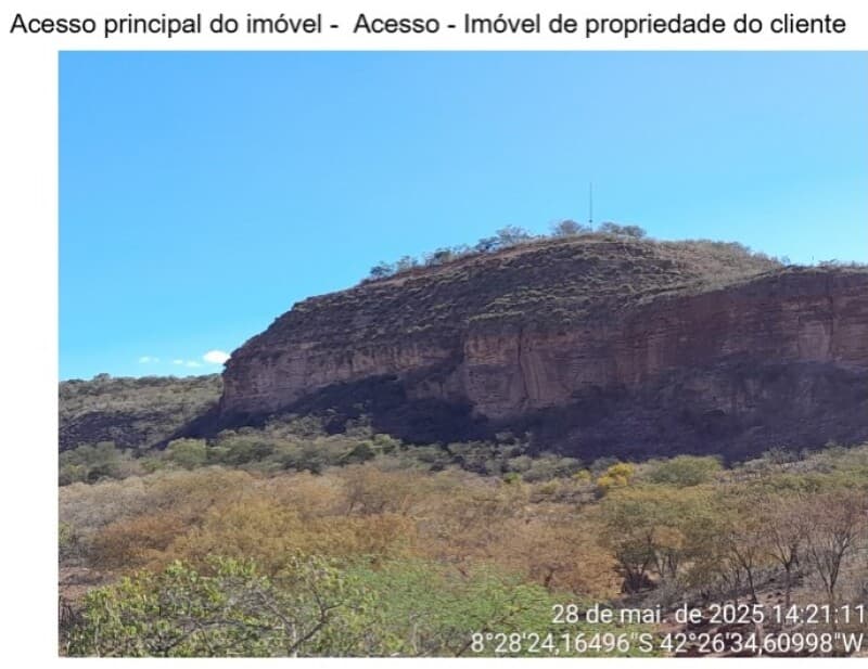 Foto 2 de 2: Area Rural em leilão em João Costa - PI — LOTE 001 55HA DE TERRAS
