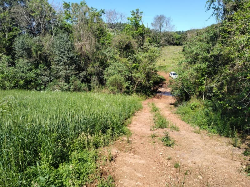 Foto 3 de 9: Terreno em leilão em Jaboticaba - RS — LOTE 001-1 FRAÇÃO DE TERRAS COM A SUPERFÍCIE DE 22.000,00M², SITUADA NA LINHA BARREIRO, MUNICÍPIO DE