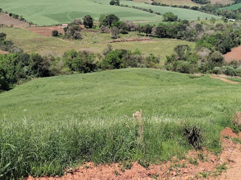 Foto 4 de 9: Terreno em leilão em Jaboticaba - RS — LOTE 001-1 FRAÇÃO DE TERRAS COM A SUPERFÍCIE DE 22.000,00M², SITUADA NA LINHA BARREIRO, MUNICÍPIO DE