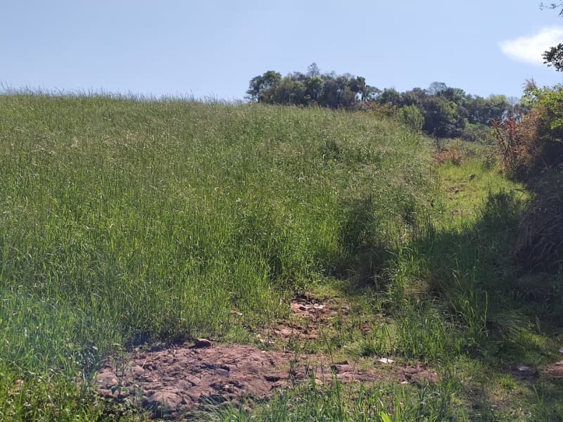 Foto 5 de 9: Terreno em leilão em Jaboticaba - RS — LOTE 001-1 FRAÇÃO DE TERRAS COM A SUPERFÍCIE DE 22.000,00M², SITUADA NA LINHA BARREIRO, MUNICÍPIO DE