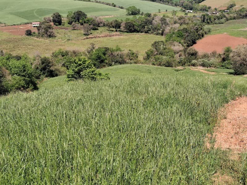 Foto 6 de 9: Terreno em leilão em Jaboticaba - RS — LOTE 001-1 FRAÇÃO DE TERRAS COM A SUPERFÍCIE DE 22.000,00M², SITUADA NA LINHA BARREIRO, MUNICÍPIO DE