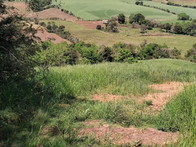 Foto 9 de 9: Terreno em leilão em Jaboticaba - RS — LOTE 001-2 FRAÇÃO DE TERRAS COM A SUPERFÍCIE DE 27.000,00M², SITUADO NA LINHA BARREIRO, MUNICÍPIO DE