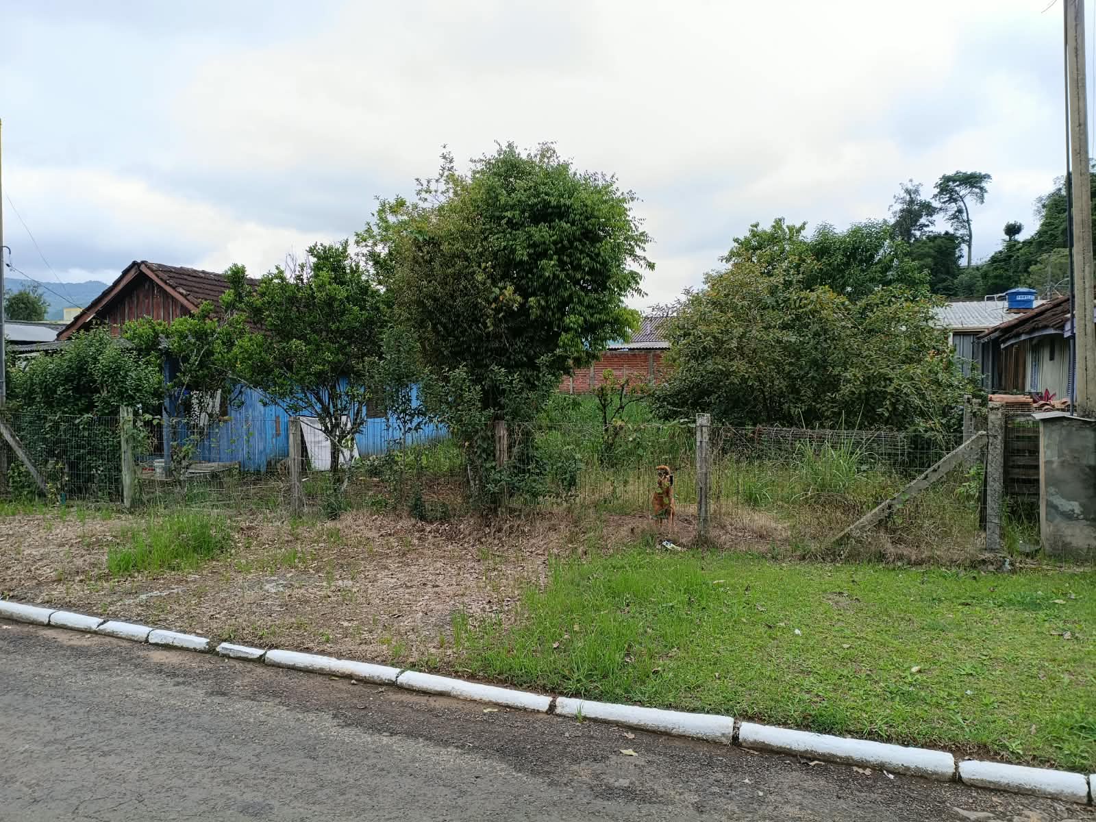 Foto 3 de 3: Terreno em leilão em Três Coroas - RS, bairro Sander — Lote 1 - TERRENO URBANO, com área de 360,00m², sem benfeitorias, em Três Coroas/RS, situado no Bairro Sander, na Rua Carlos Eckhard