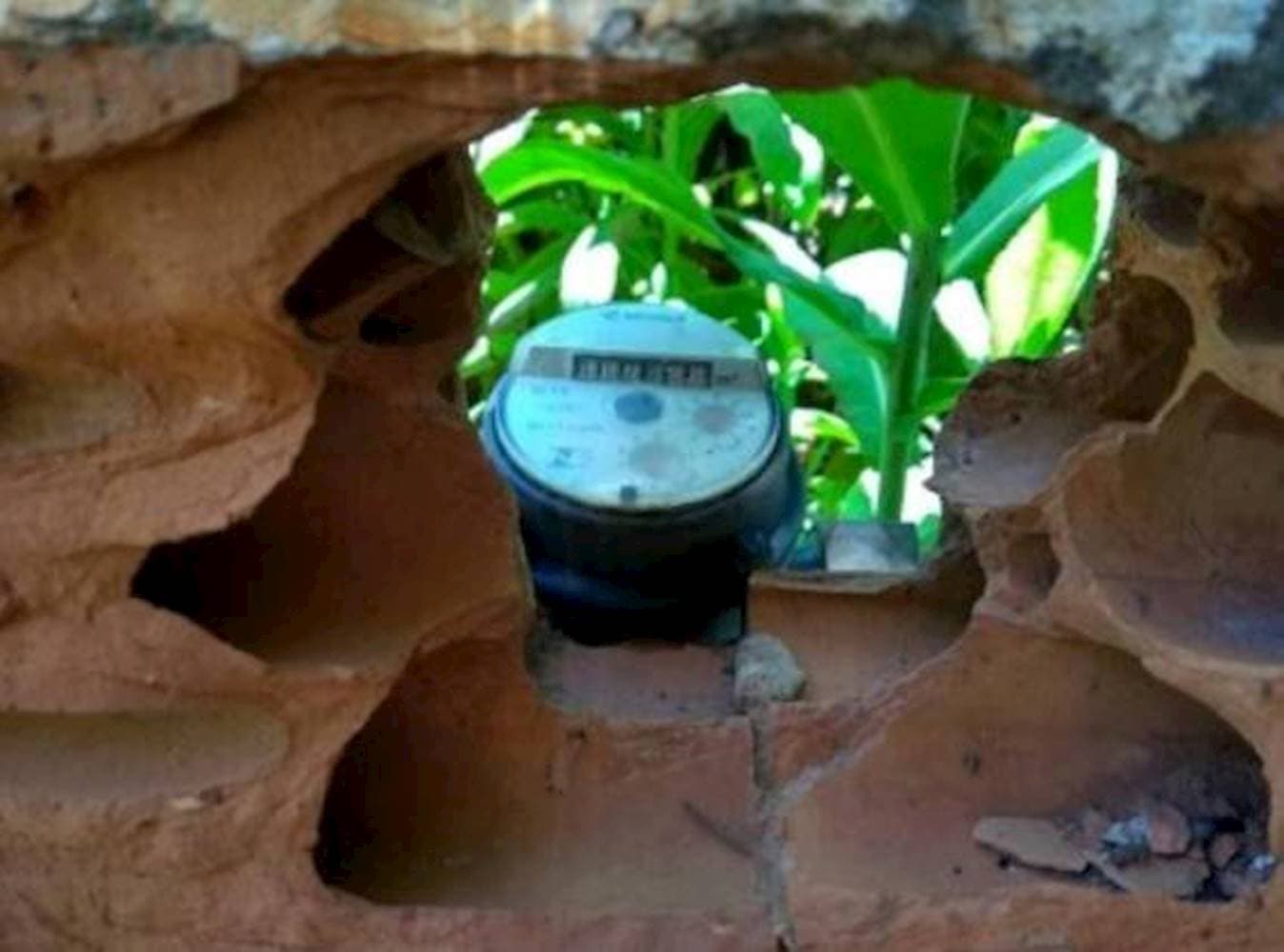 Foto 40 de 41: Casa em leilão em Guaiçara - SP — Casa na Saúde - Guaiçara/SP