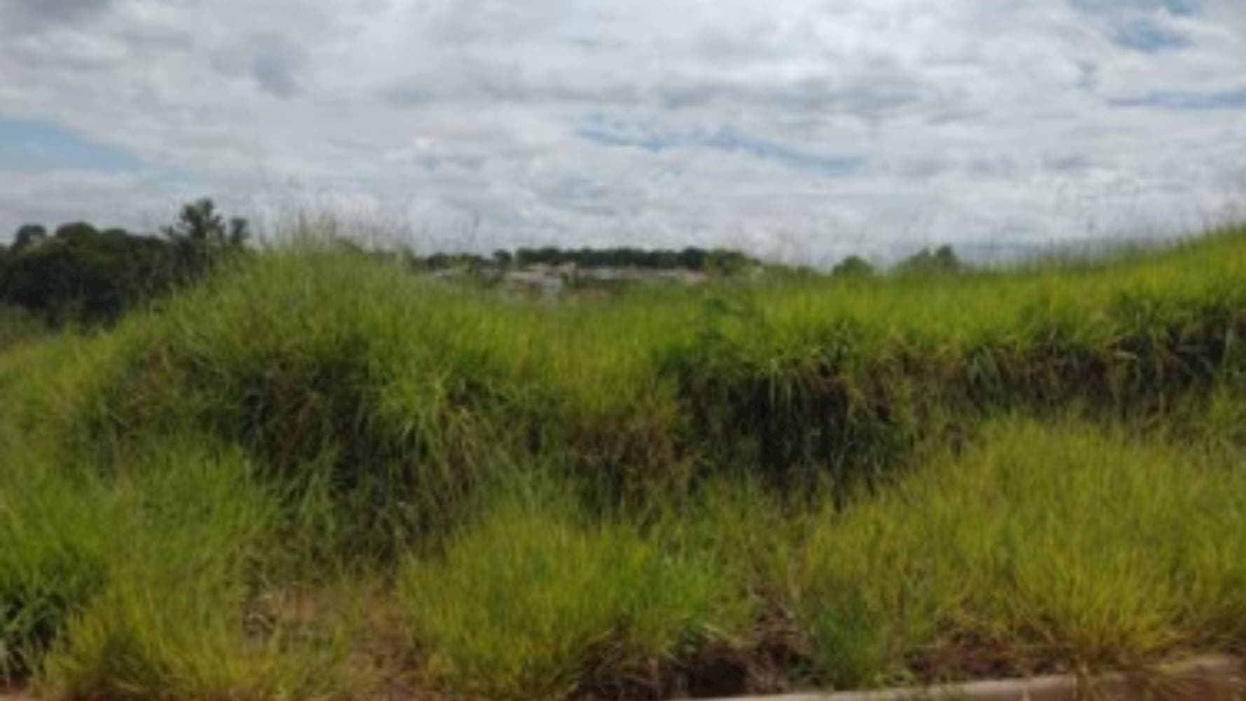 Foto 2 de 5: Terreno em leilão em Dracena - SP — Terreno no "Royal Residence" em Dracena/SP
