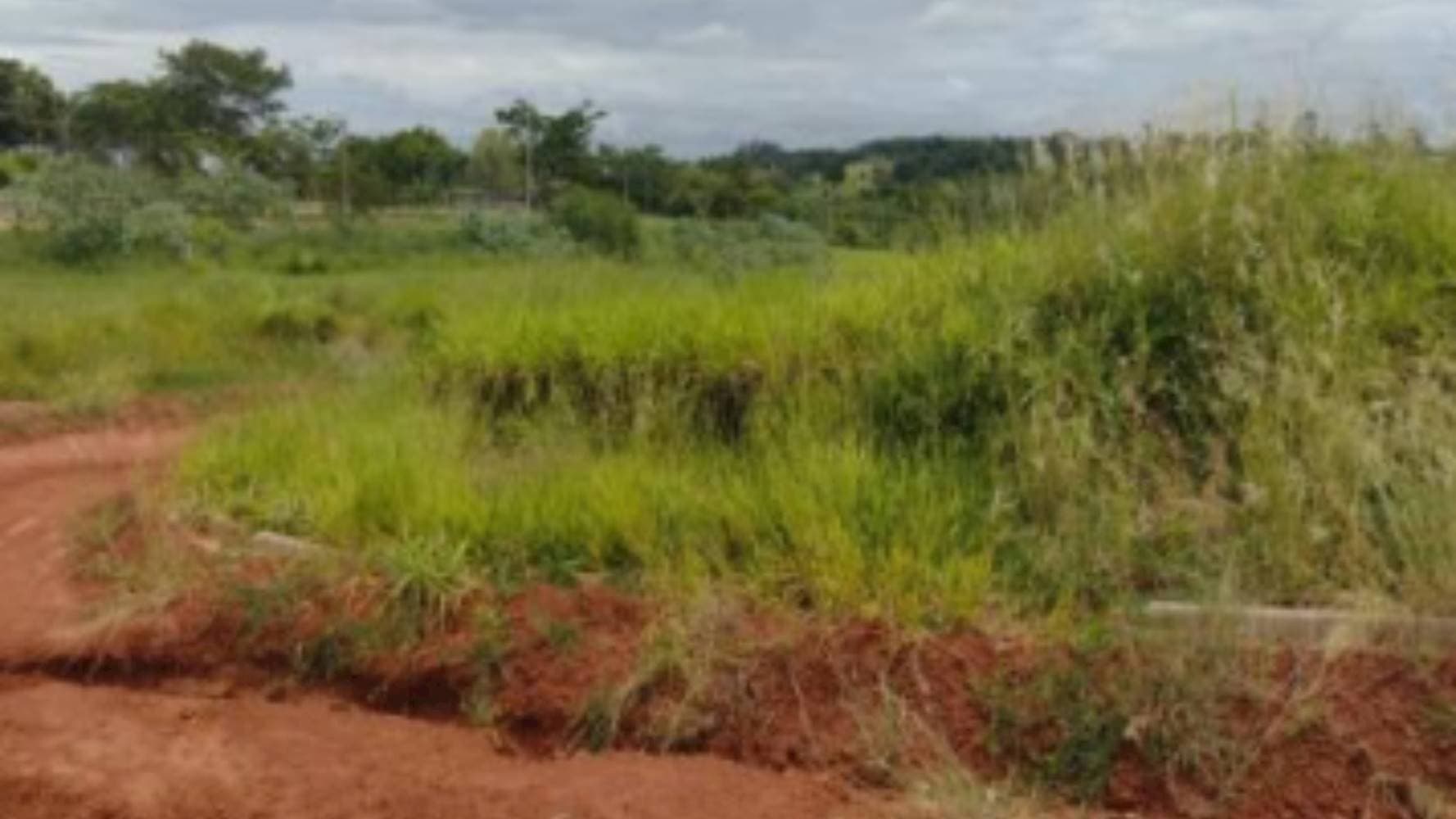 Foto 5 de 5: Terreno em leilão em Dracena - SP — Terreno no "Royal Residence" em Dracena/SP