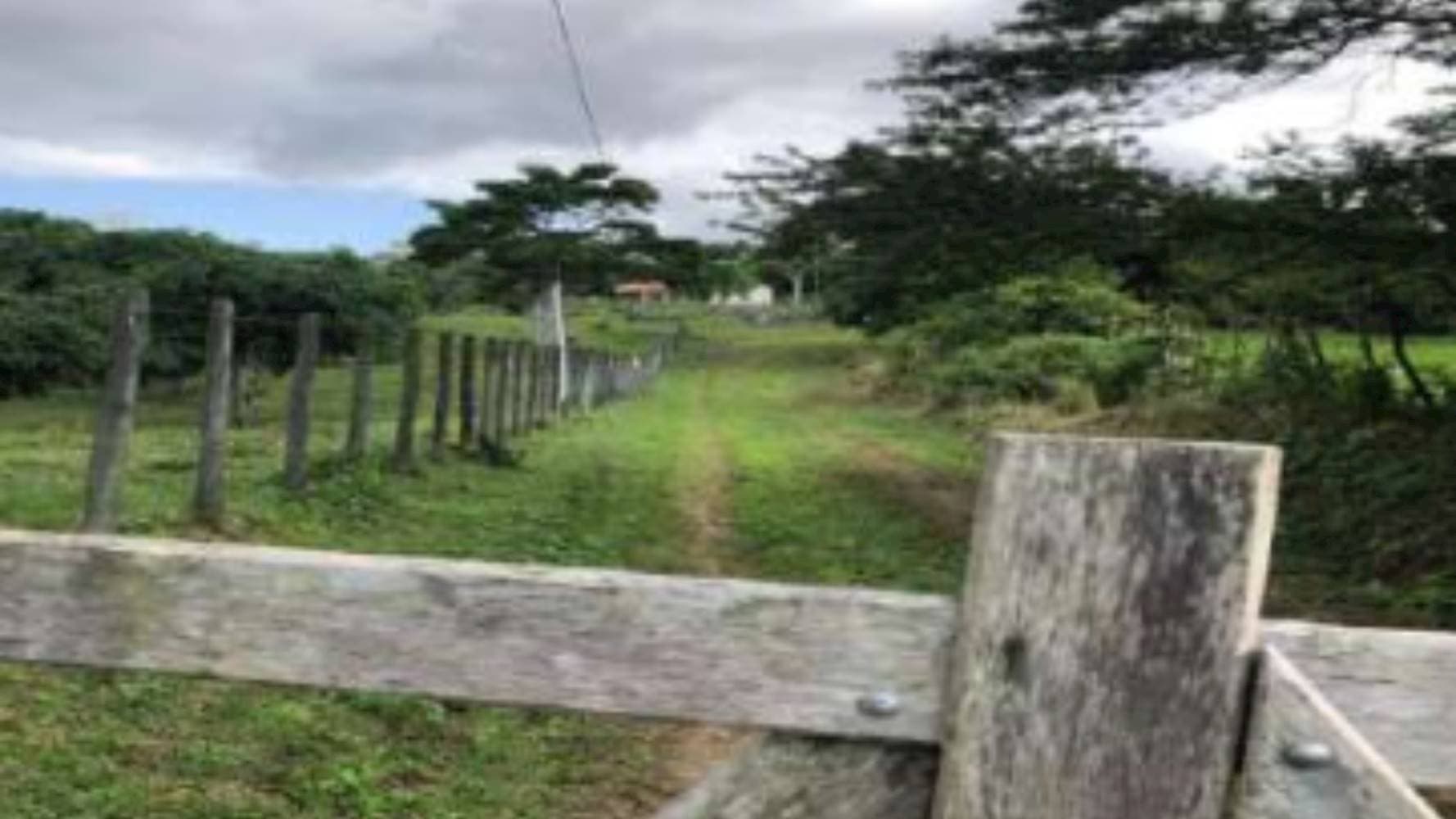 Foto 2 de 5: Area Rural em leilão em Maragogipe - BA — Imóvel no Bairro Rua do Nilo em Maragogipe/BA