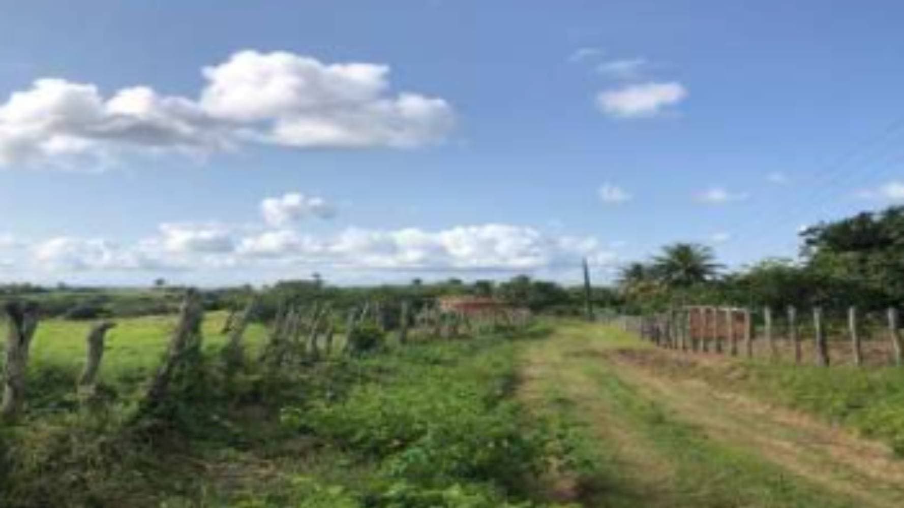 Foto 4 de 5: Area Rural em leilão em Maragogipe - BA — Imóvel no Bairro Rua do Nilo em Maragogipe/BA