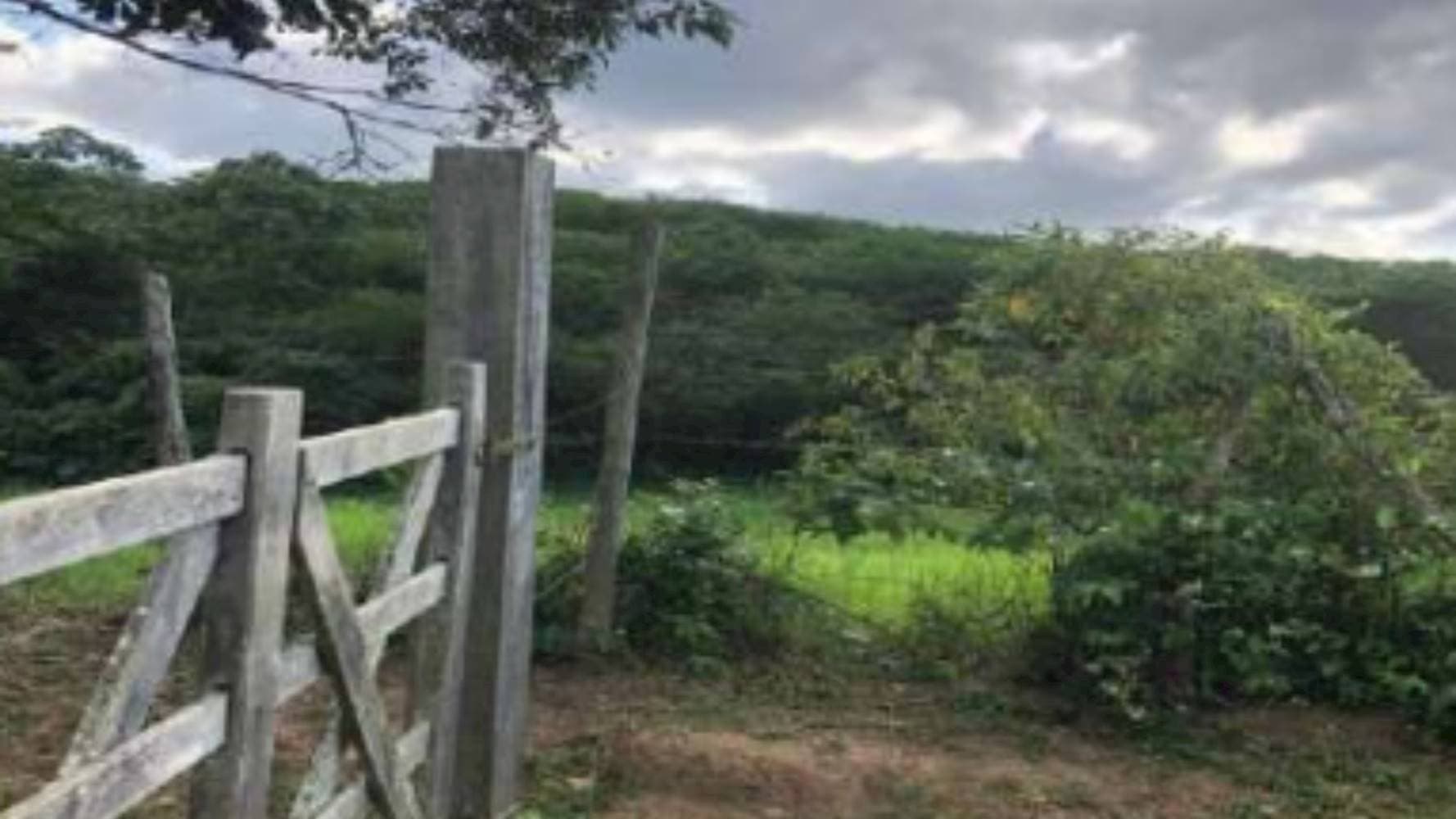 Foto 5 de 5: Area Rural em leilão em Maragogipe - BA — Imóvel no Bairro Rua do Nilo em Maragogipe/BA