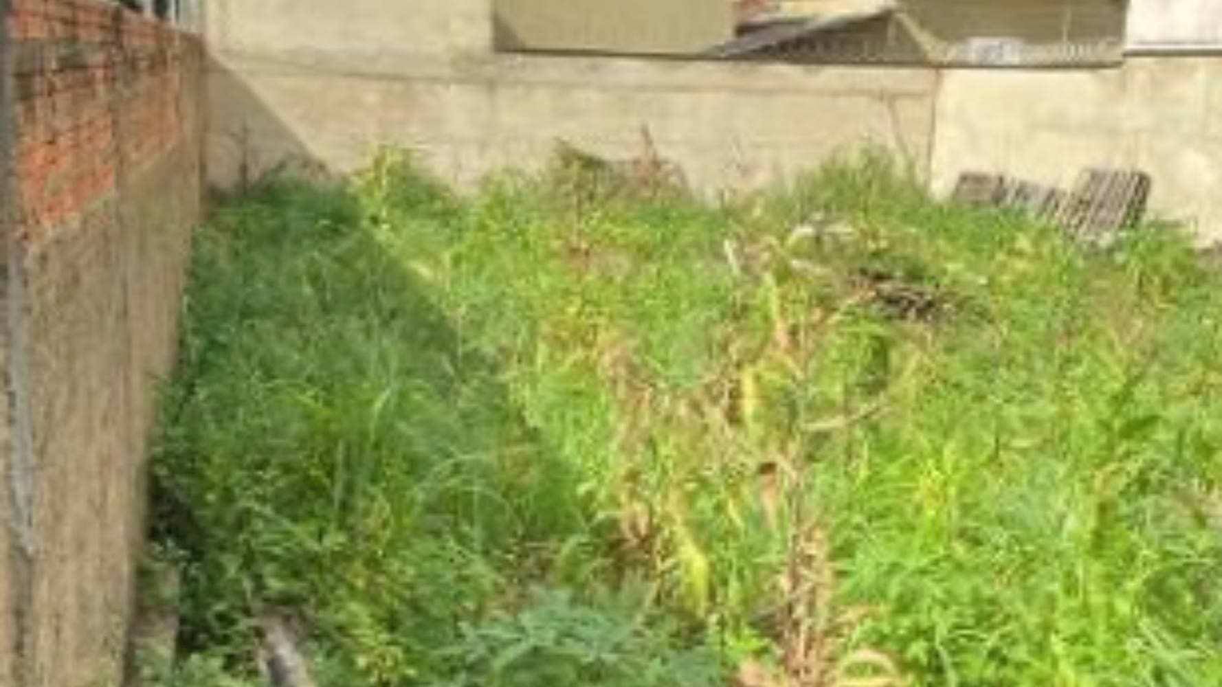 Foto 1 de 2: Terreno em leilão em Porto Nacional - TO — Terreno no Setor Imperial - Porto Nacional/TO