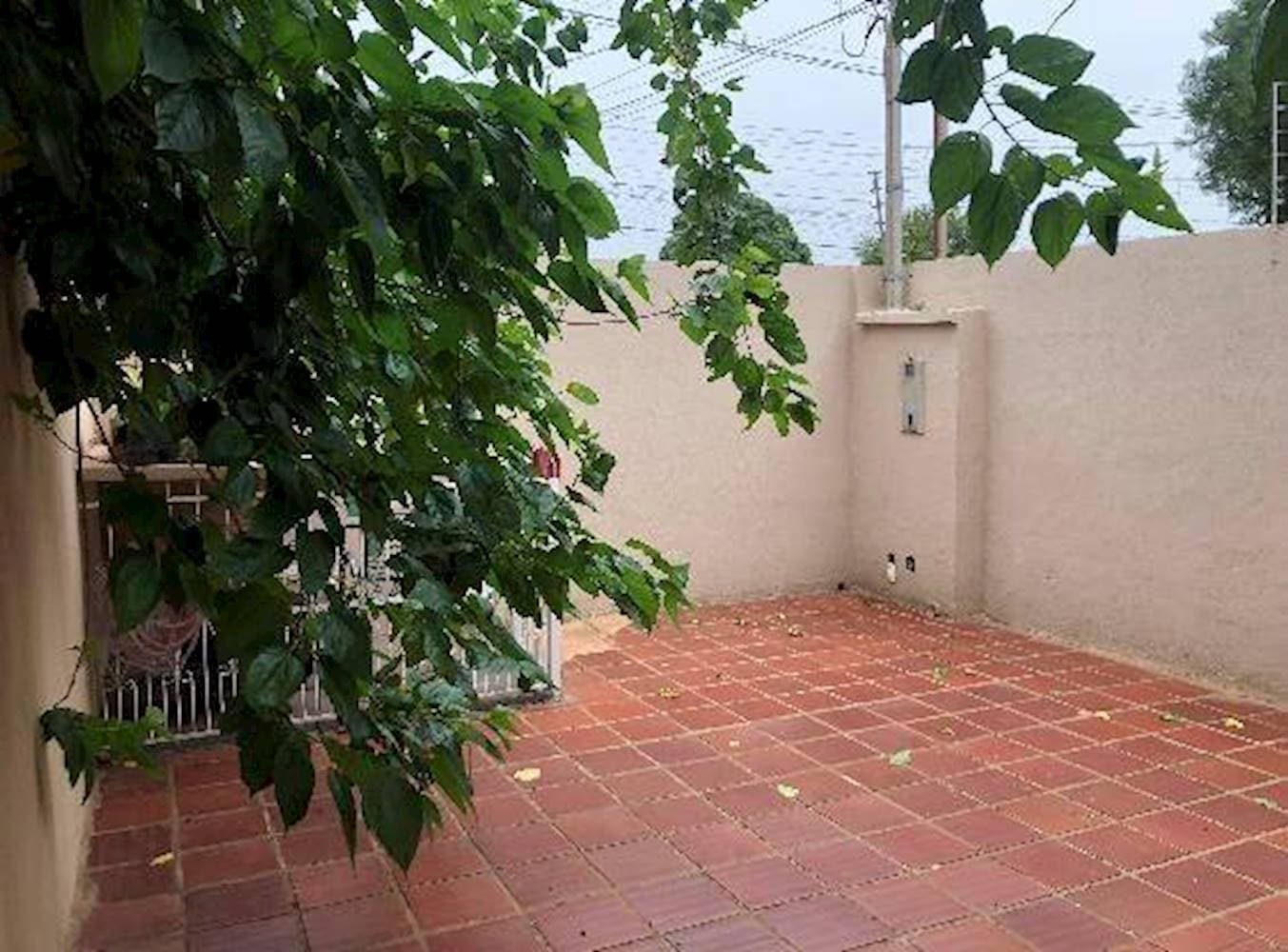 Foto 12 de 46: Casa em leilão em Campo Grande - MS — Casa, Padrão, 0 vaga(s) de garagem