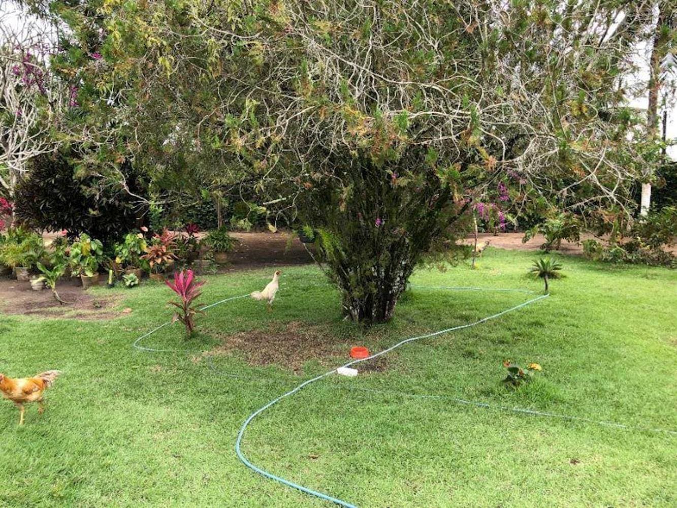 Foto 2 de 27: Casa em leilão em Penedo - AL — Casa, Padrão, 0 vaga(s) de garagem