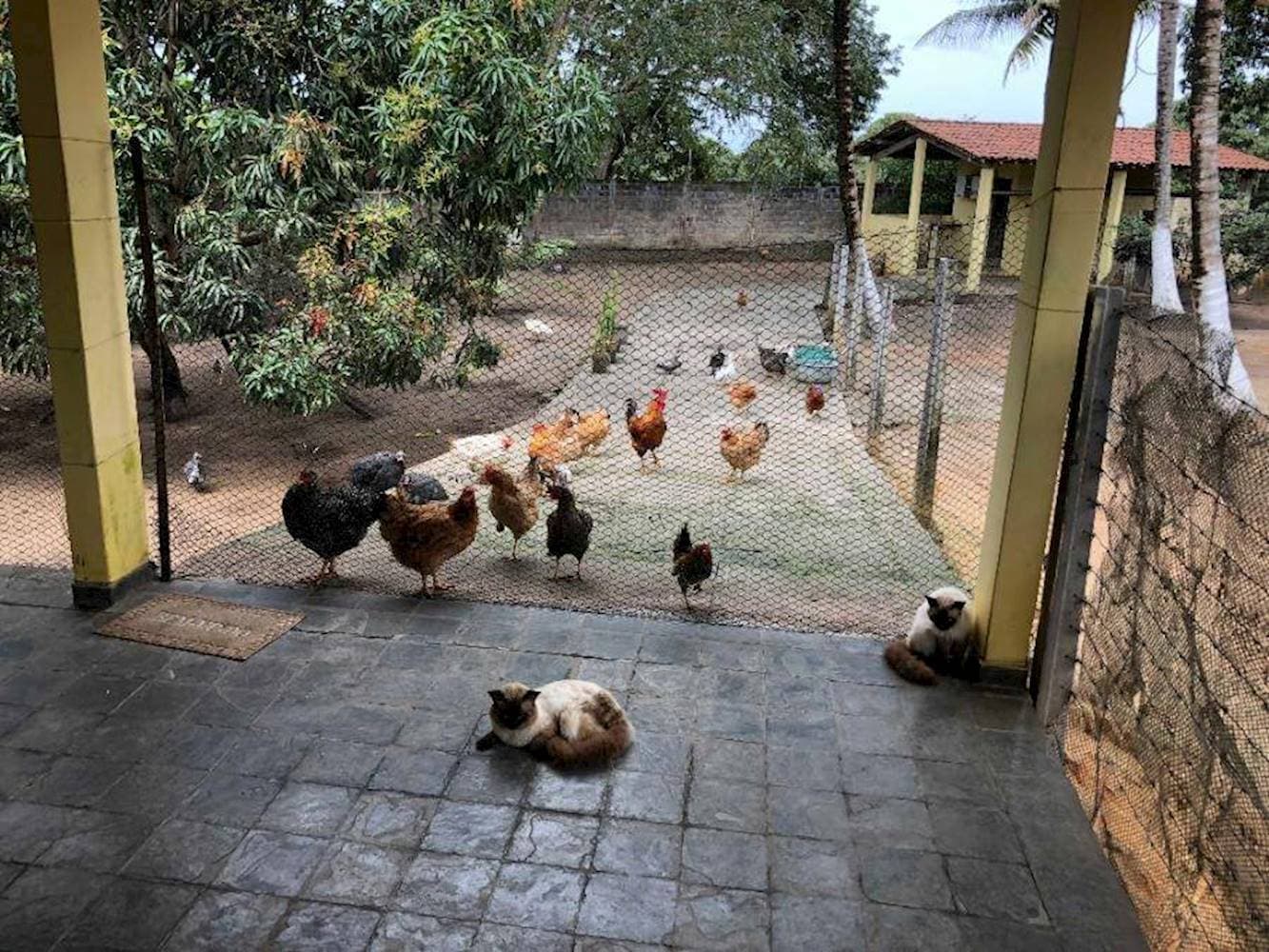 Foto 27 de 27: Casa em leilão em Penedo - AL — Casa, Padrão, 0 vaga(s) de garagem