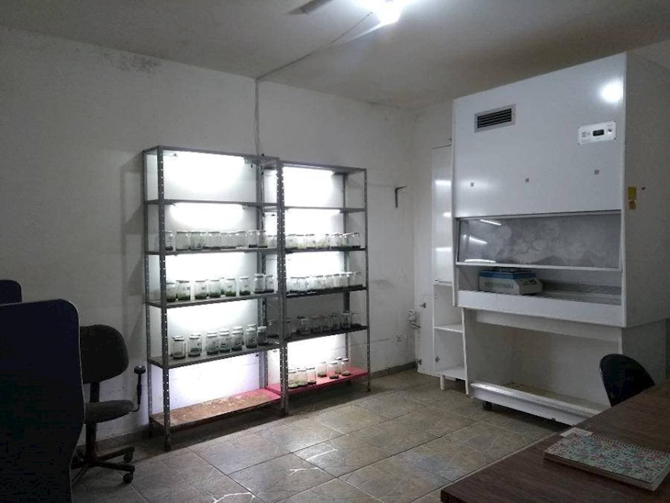 Foto 17 de 30: Casa em leilão em Guaiçara - SP — Casa na Saúde - Guaicara/SP