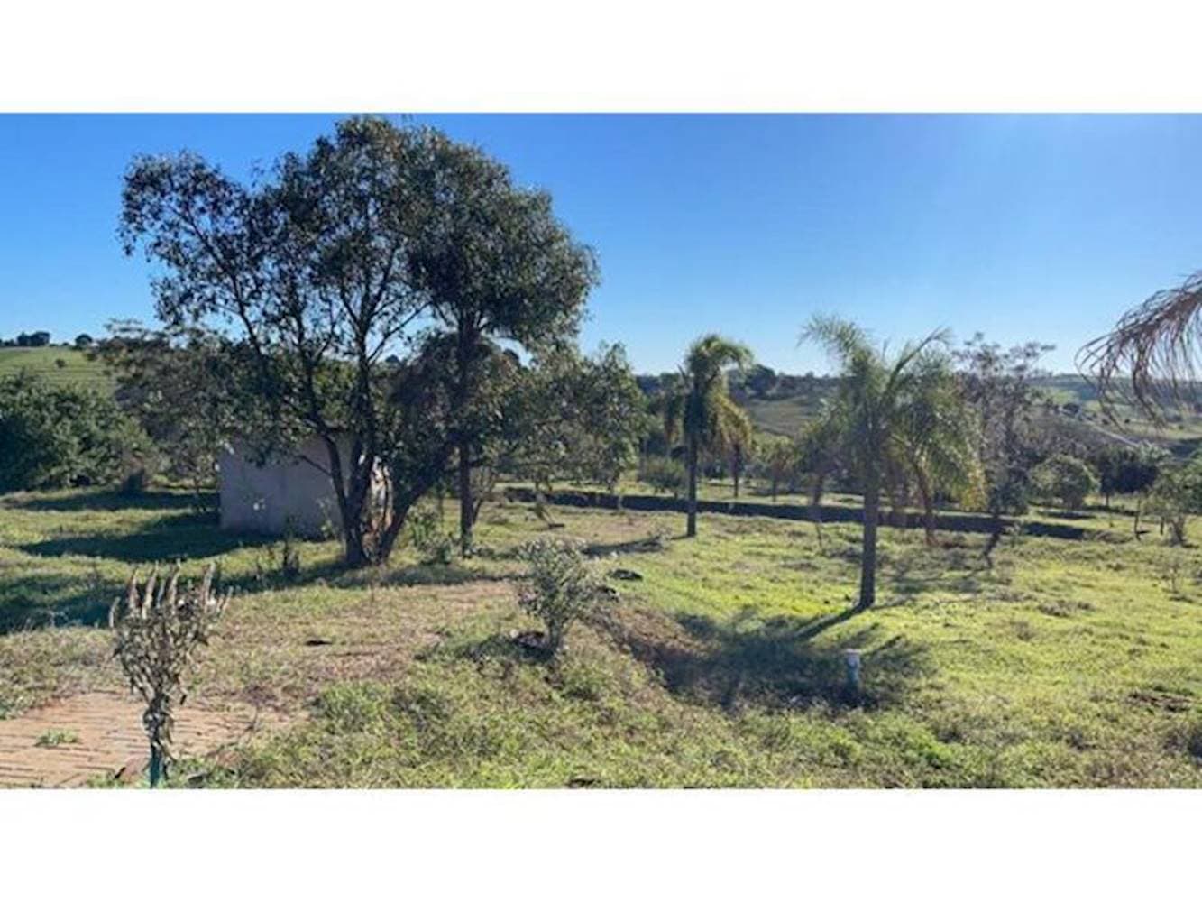 Foto 10 de 23: Terreno em leilão em Pérola - PR — Terreno no Parque Residencial Viva - Pérola/PR