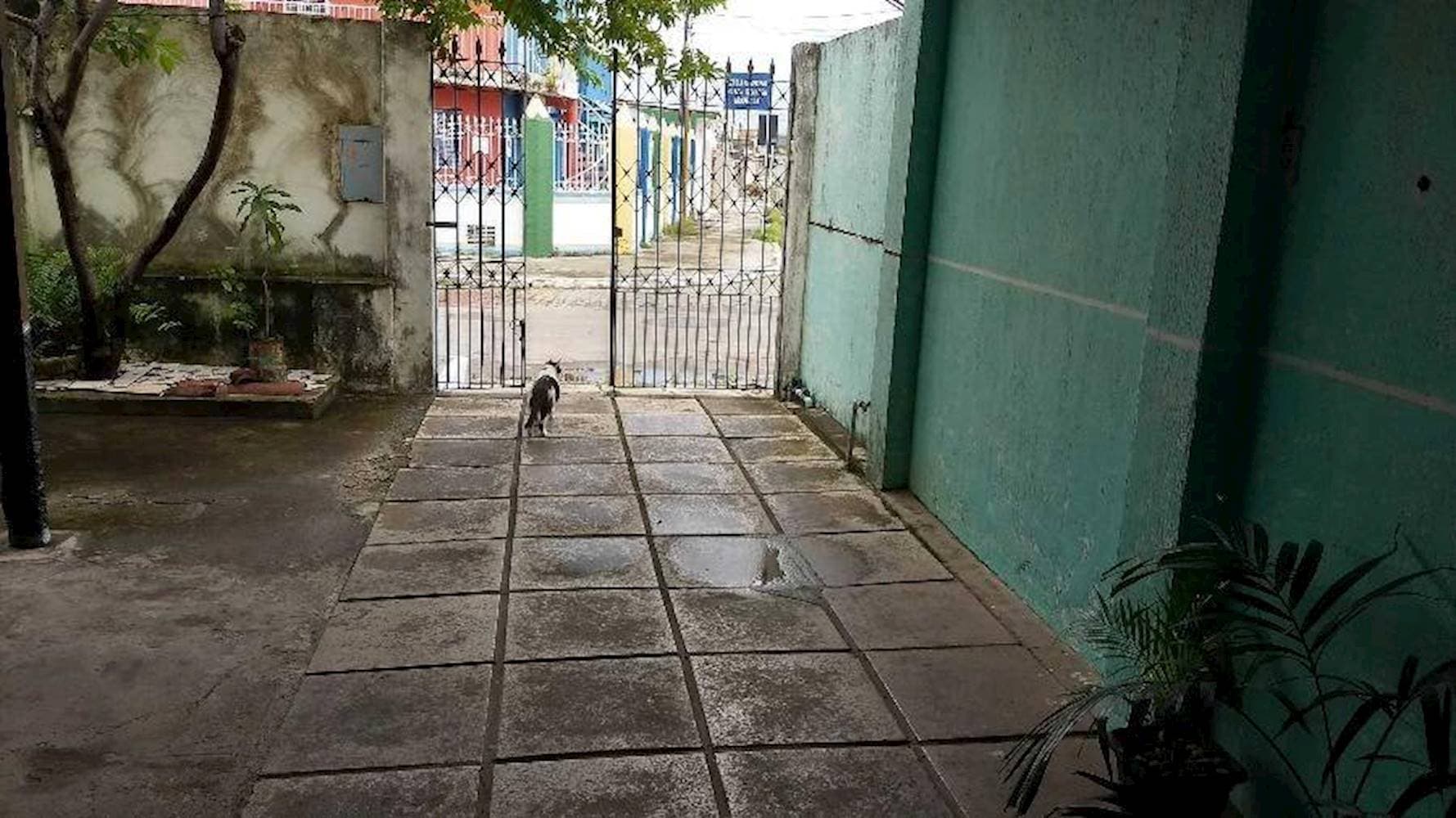 Foto 26 de 28: Casa em leilão em Maceió - AL — Casa, Padrão, 1 vaga(s) de garagem